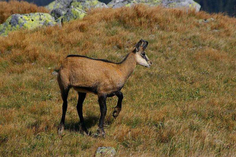 مبيت وإفطار Cerdon  Au Fil De L'Eau المظهر الخارجي الصورة